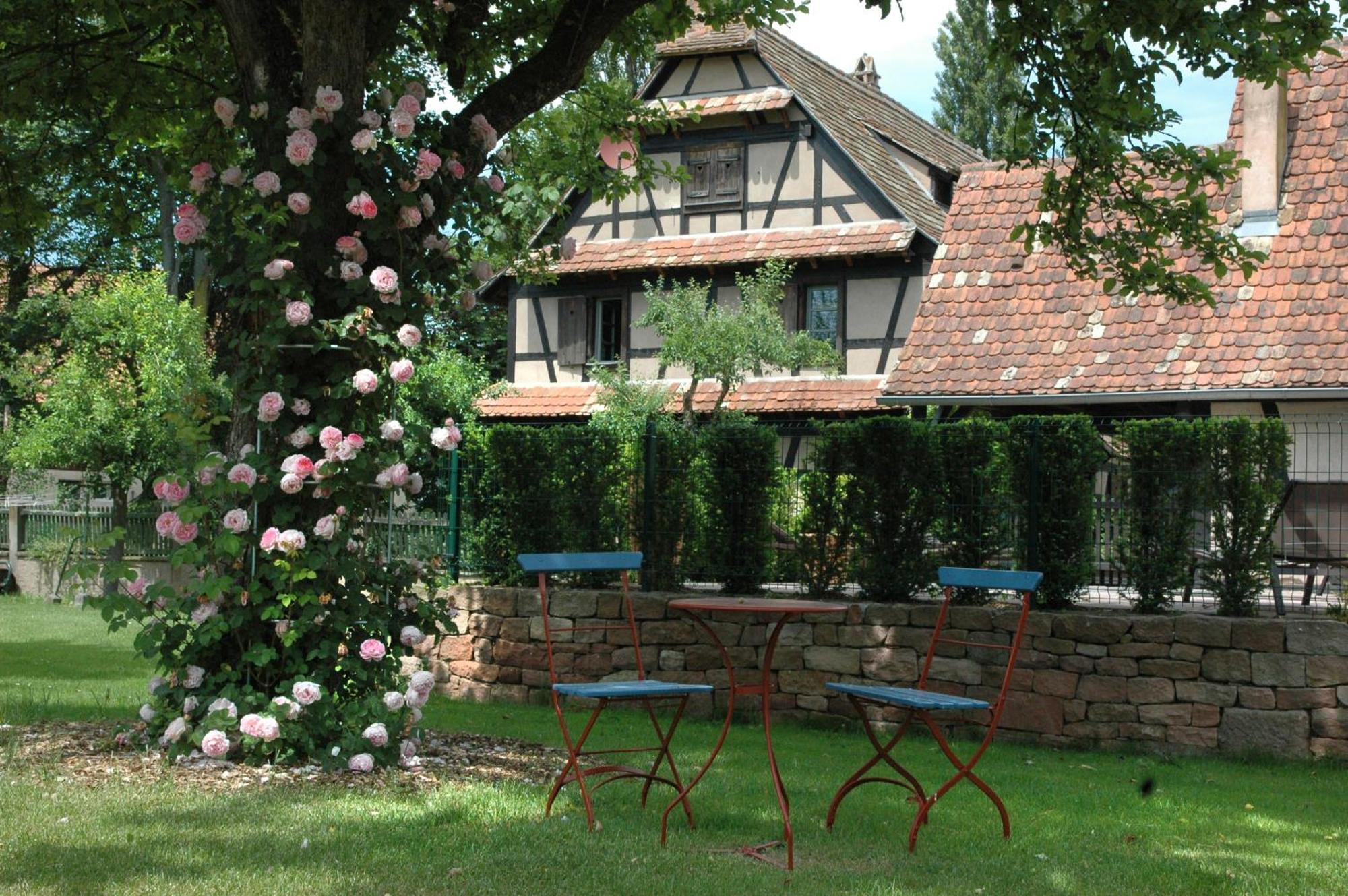 Hotel Restaurant De L'Illwald 塞莱斯塔 外观 照片